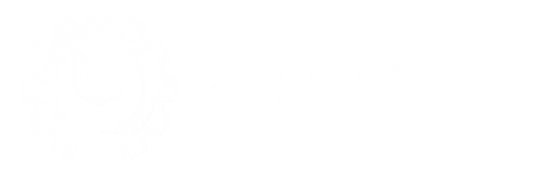 Eminoglu Rulman