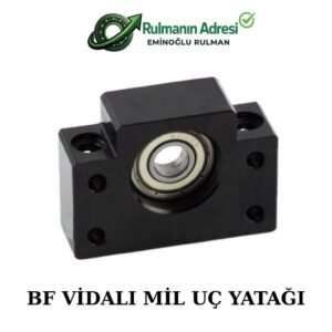 BF 30 Vidalı Mil Uç Yatakları